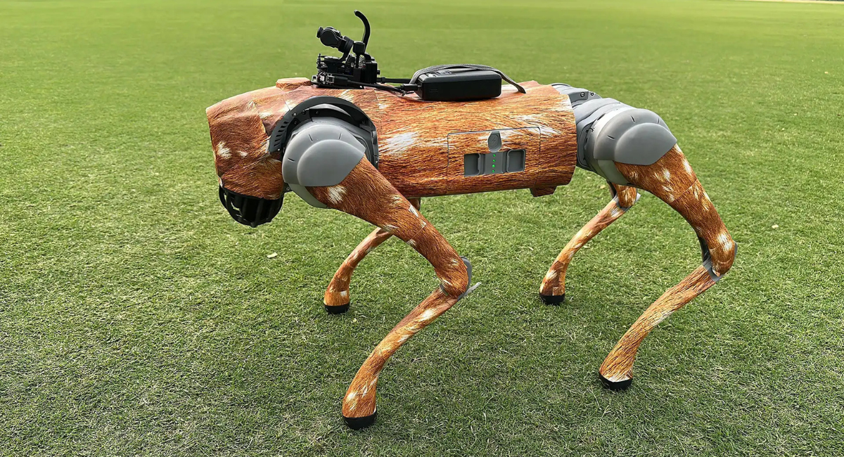 IPL robot dog price